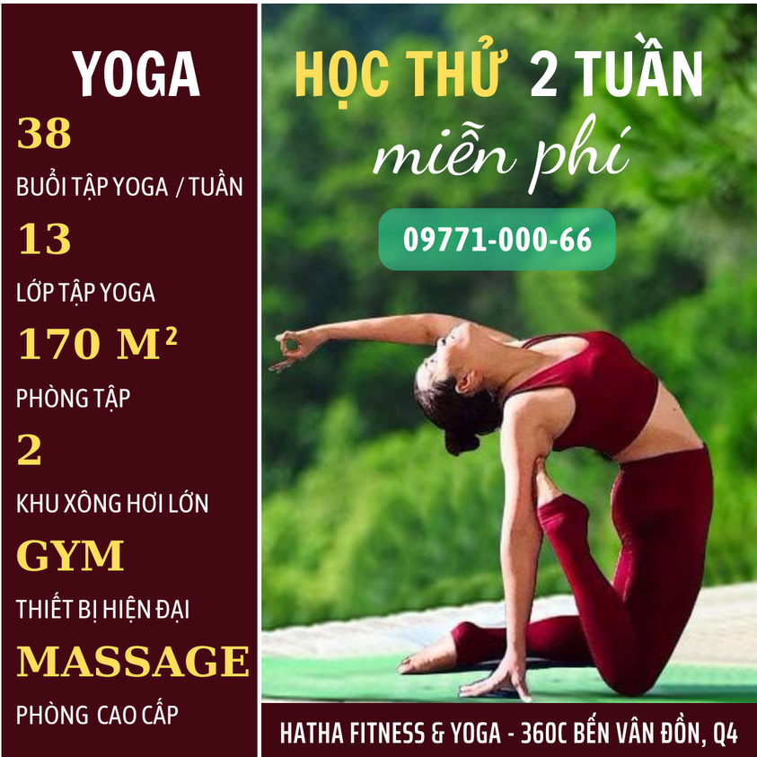 Top 8 trung tâm dạy Yoga tốt nhất tại thành phố Hồ Chí Minh -  Hatha Fitness & yoga