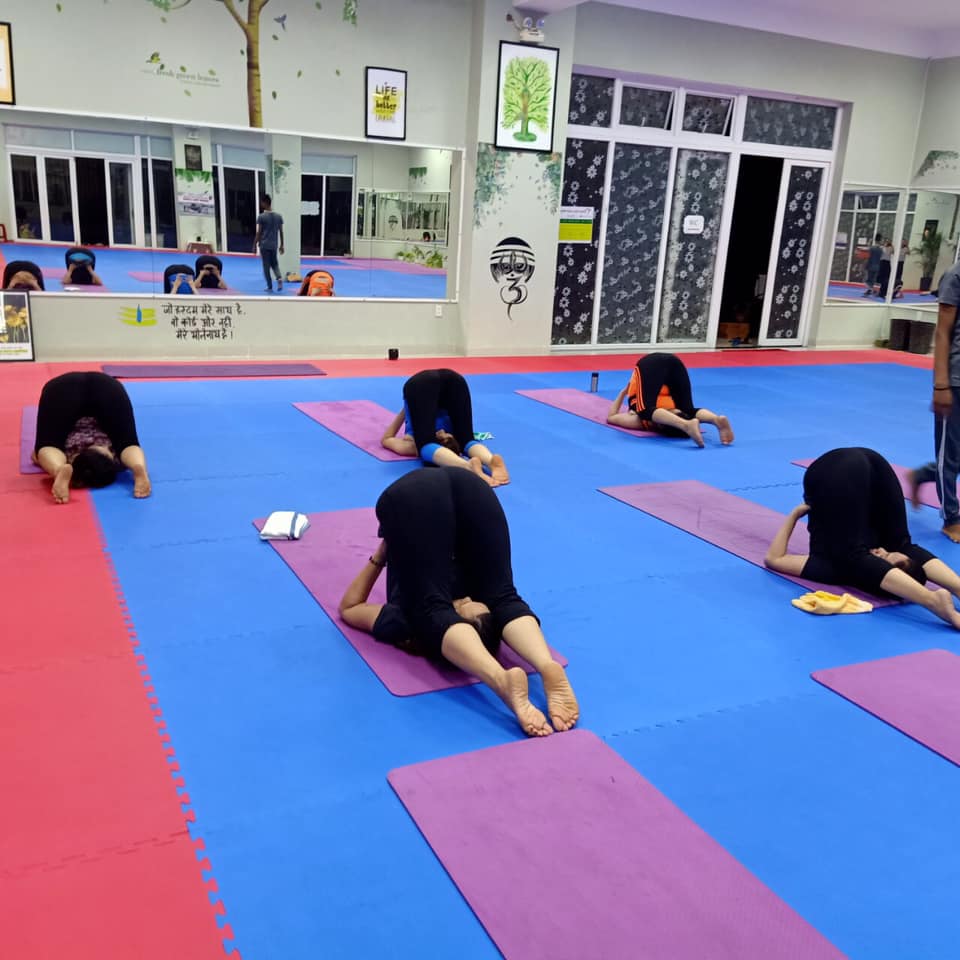 Top 8 trung tâm dạy Yoga tốt nhất tại Đà Nẵng -  Shadow Yoga & Dance