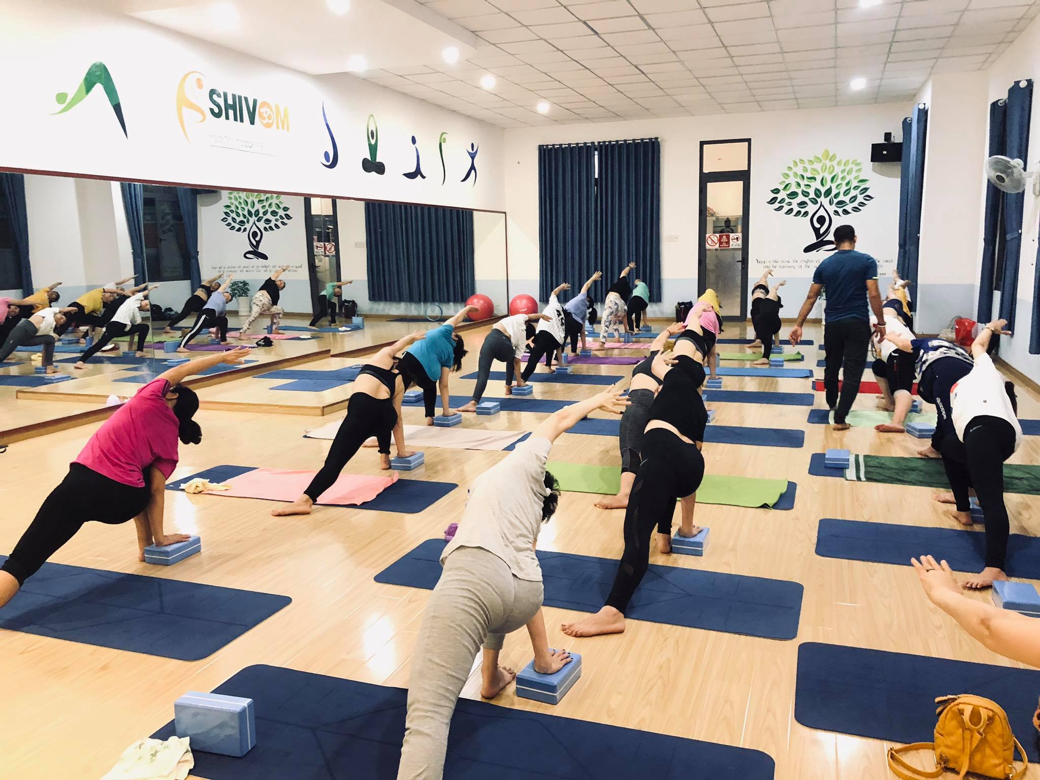 Top 8 trung tâm dạy Yoga tốt nhất tại Cần Thơ -  Shivom Yoga Cần Thơ