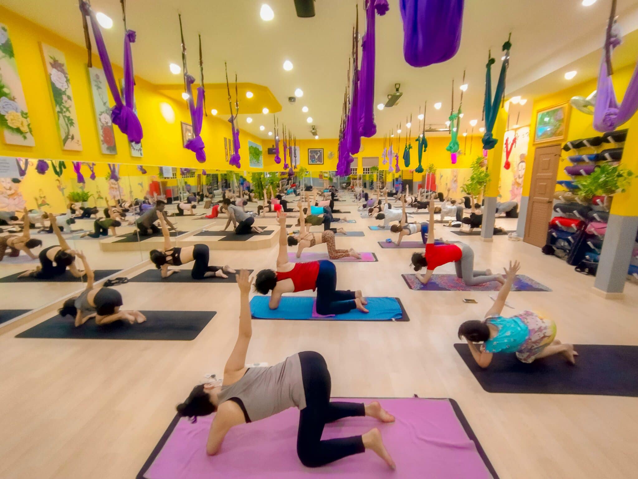 Top 8 trung tâm dạy Yoga tốt nhất tại Cần Thơ -  Om Shanti Yoga CanTho
